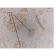 Large nerves in a dolphin clitoris
